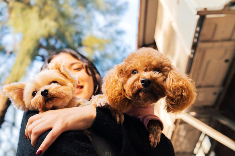 A woman carrying pets